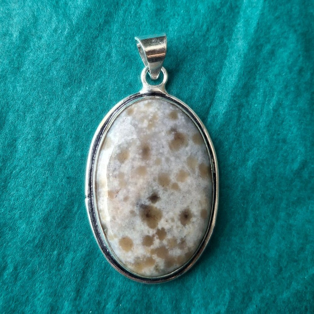 2/25$ NWOT ocean jasper silver 925 pendant